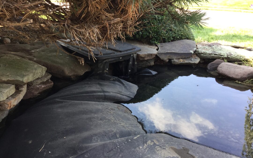 The Most Common Pond Repairs Ponds By George Handles in Bucks County, PA