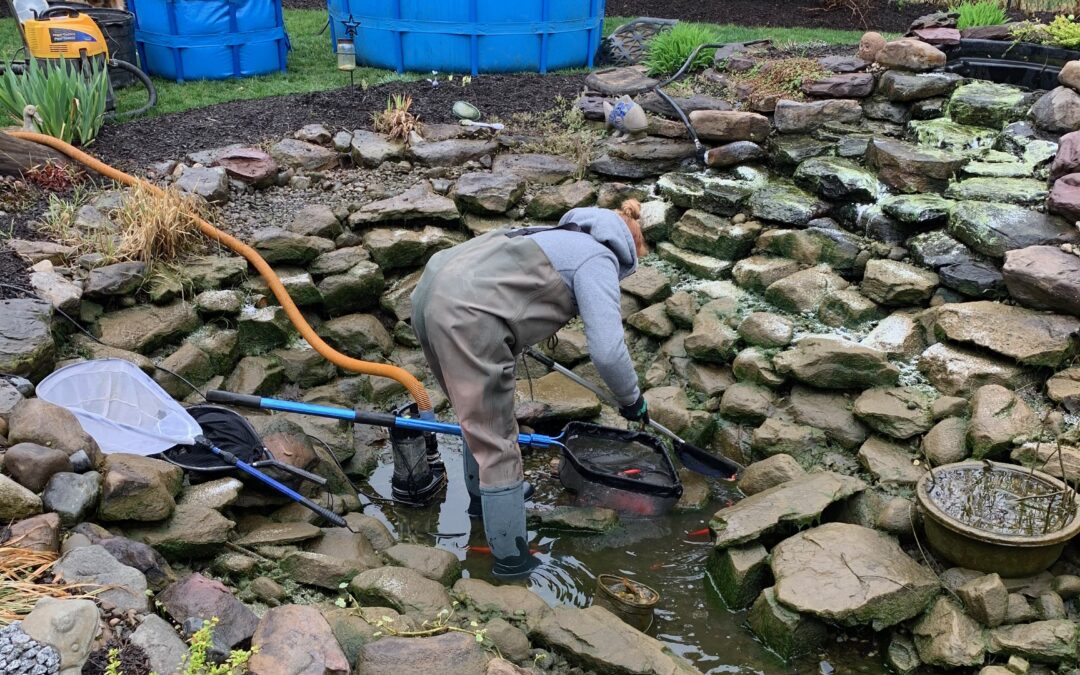 Why is Professional Pond Cleaning Necessary in Bucks County, PA?
