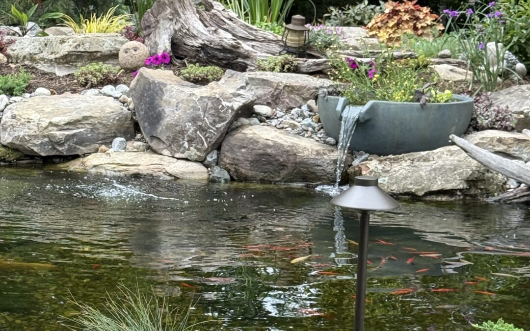 What Types of Ponds and Water Features Can Ponds By George Install?