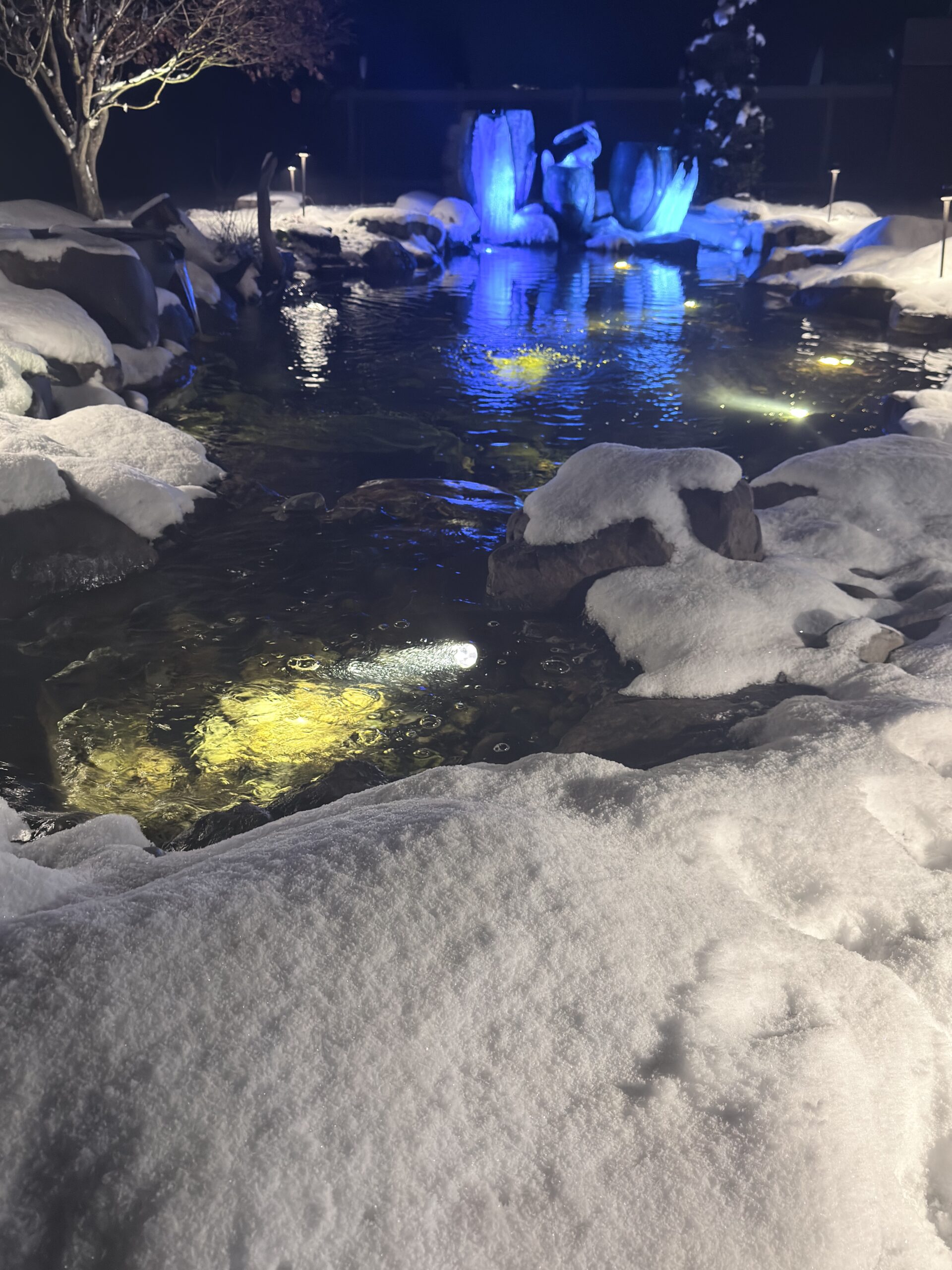 Ponds By George