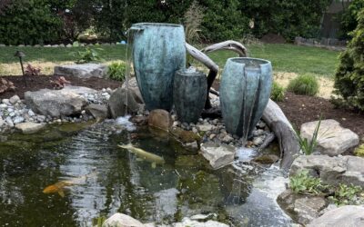 Exploring Decorative Fountains and Water Urns (Fountainscapes)